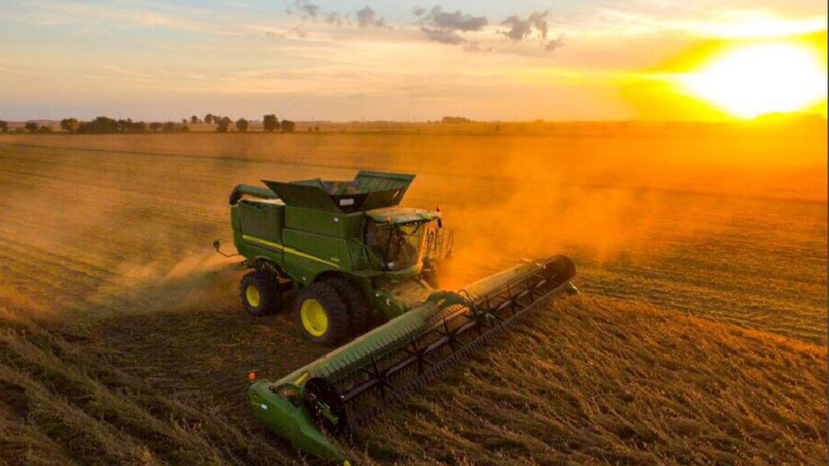 Báo cáo tiến độ mùa vụ Crop Progress tính đến hết ngày 11/10/2020