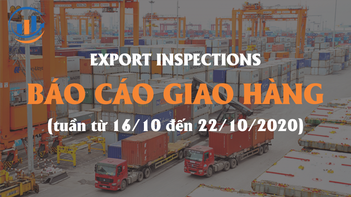 BÁO CÁO GIAO HÀNG EXPORT INSPECTION