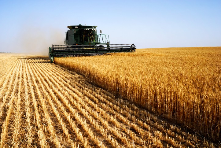 sàn CBOT sau báo cáo grain stocks ngày 30/09/2020