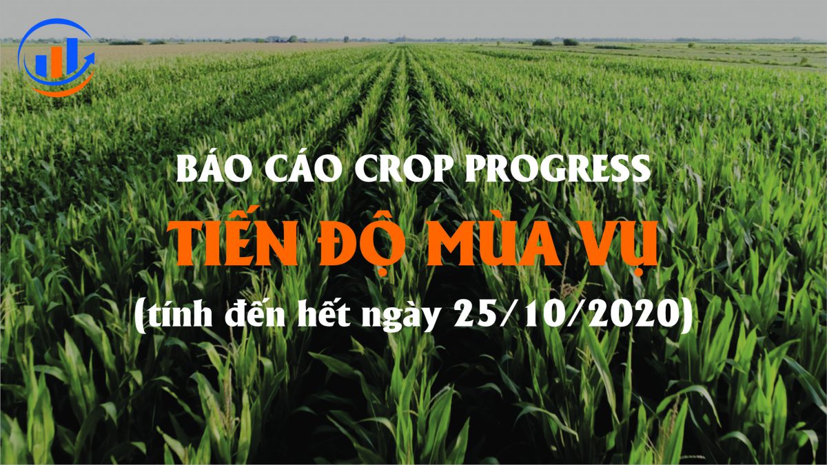 TIẾN ĐỘ MÙA VỤ CROP PROGRESS TÍNH ĐẾN HẾT 25-10-2020