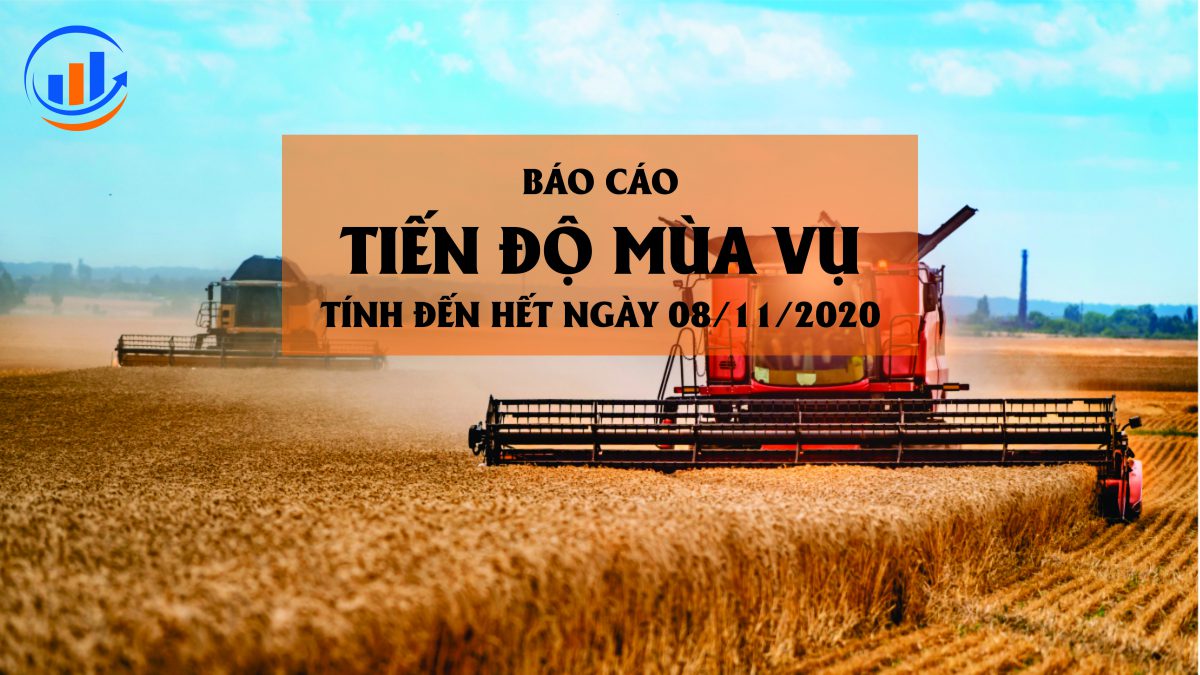 báo cáo tiến độ mùa vụ tính đến hết 08/11/2020