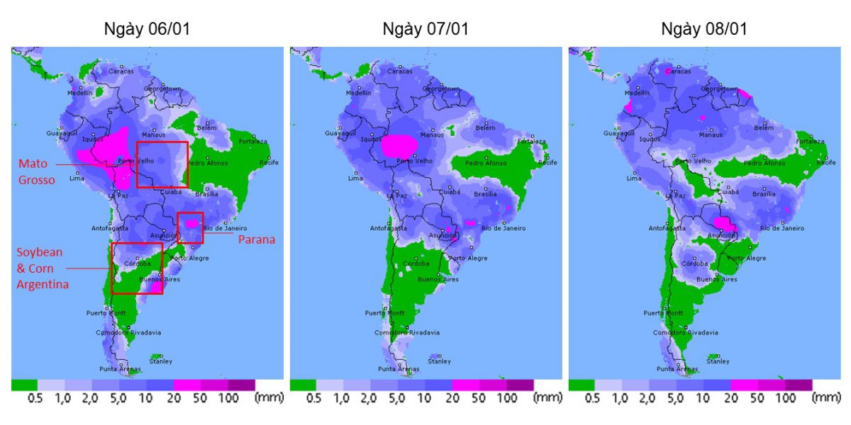 thời tiết brazil